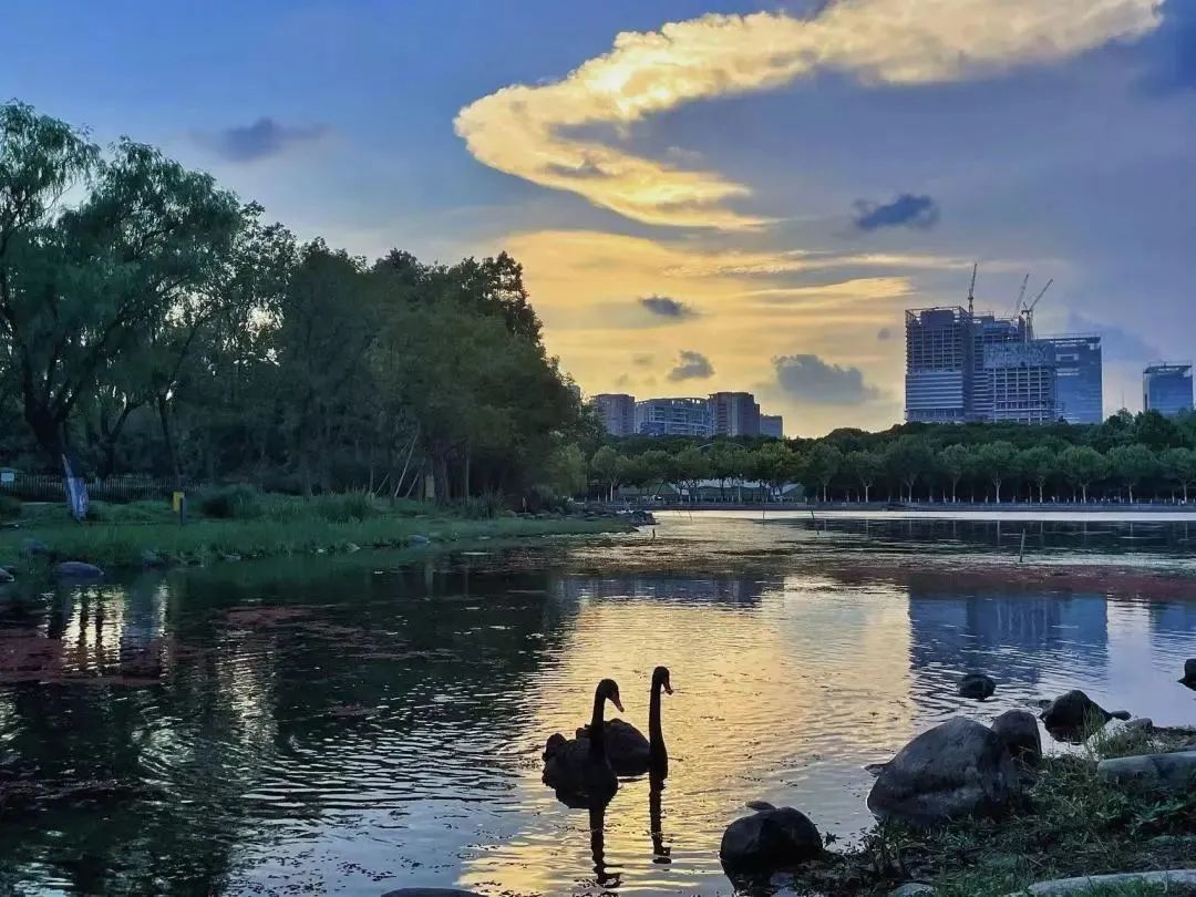 小布摄影团丨魔都夜生活的N种打开方式，快收藏起来→