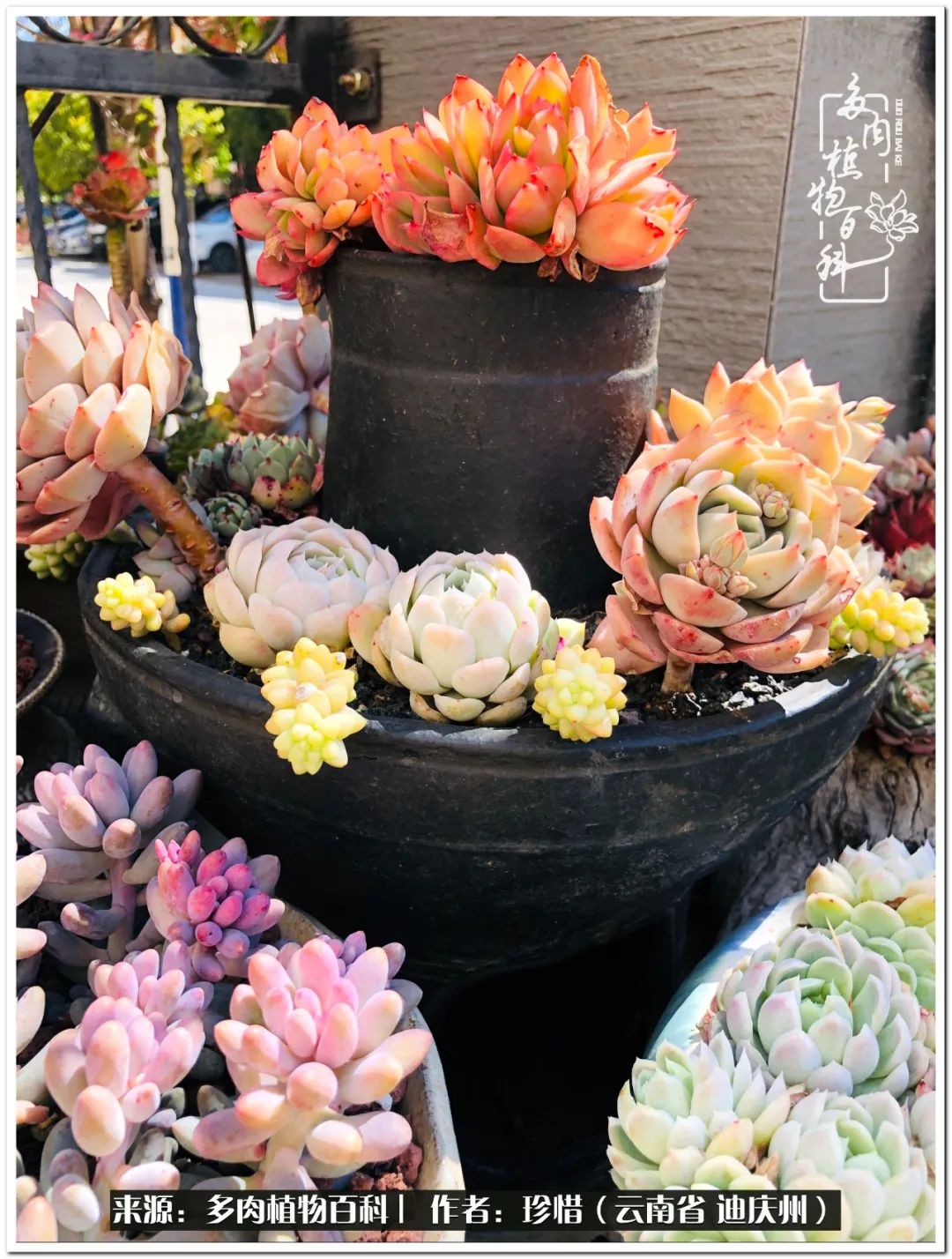 给生命一份淡然还岁月一份从容,给生命留一份洒脱的话