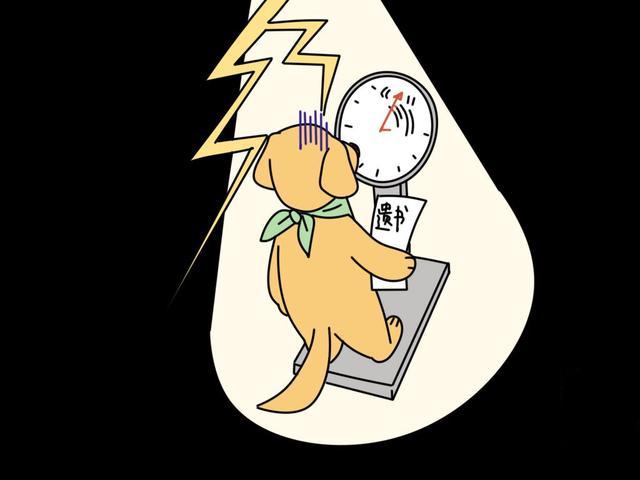 彩虹天堂Lucas——一篇就懂！狗狗生病时的求救信号？