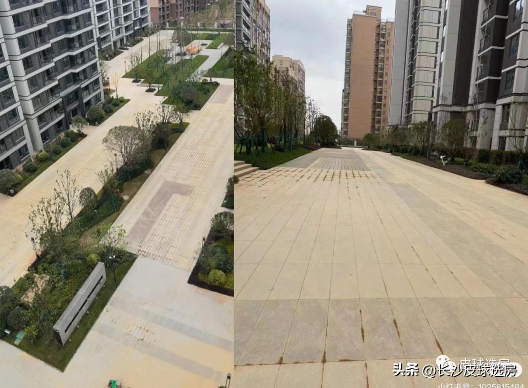 长沙招商滨江境优缺点,长沙招商蛇口的楼盘怎么样