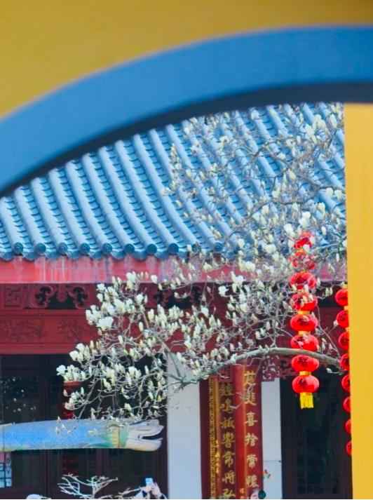 花海春日赏花的n种方式,超适合春天去的30个赏花地