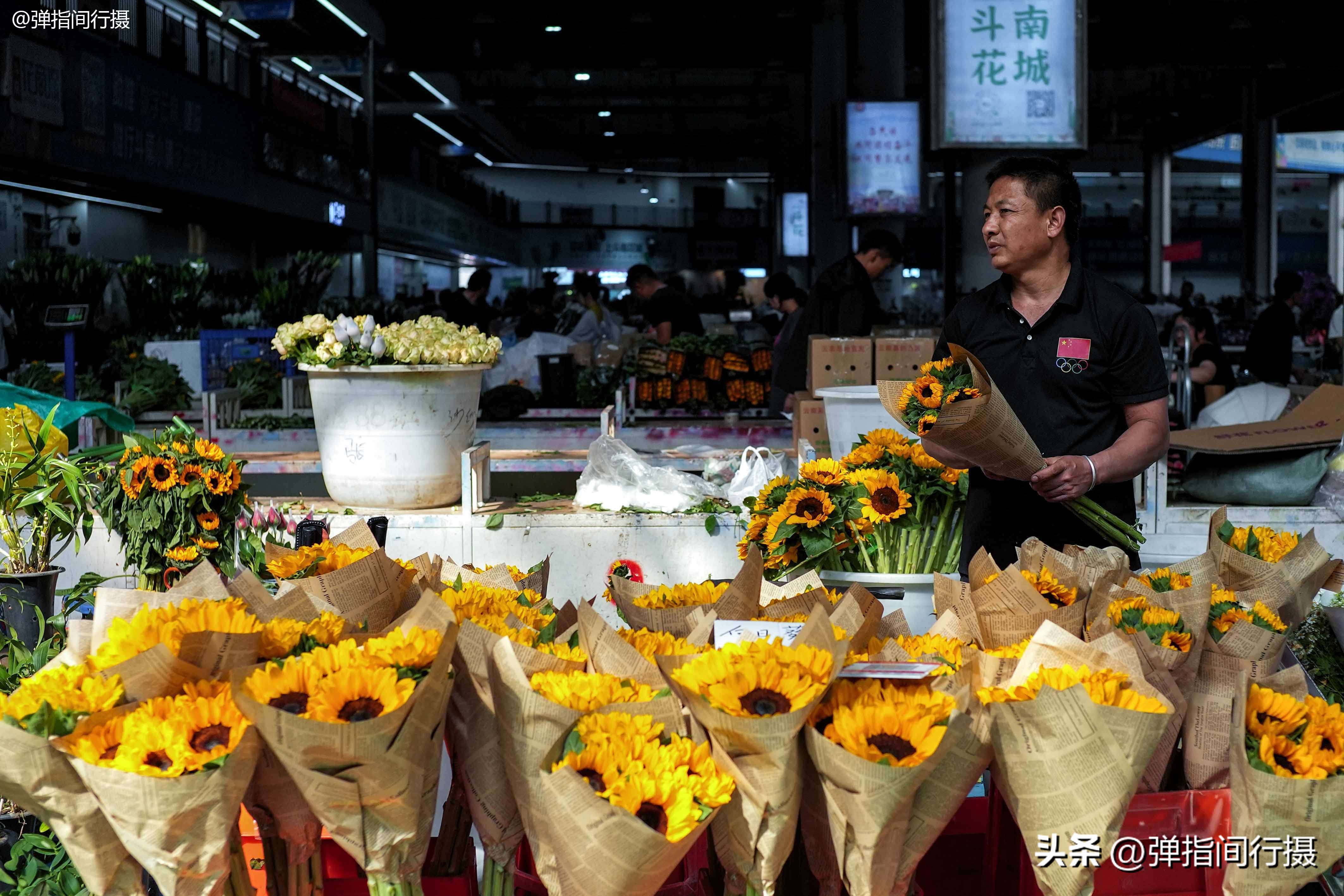 昆明春天假日游玩推荐特辑,昆明春天旅游攻略