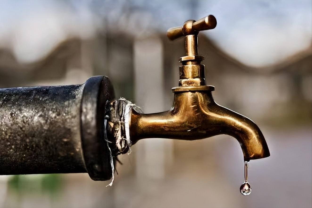 前列腺祛湿化瘀,前列腺常用化瘀排脓中药