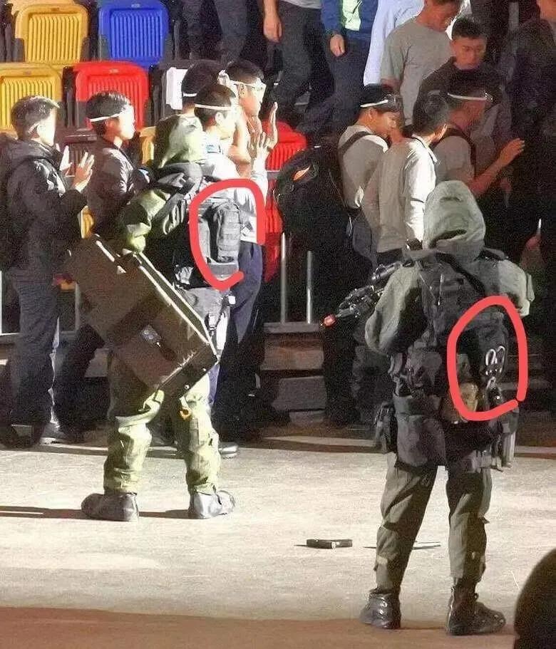 虎年说虎科普视频,虎年说虎运用了哪些说明方法