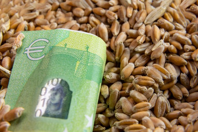 食品安全的国际规制与法律保障,外国对食品安全出台的法律