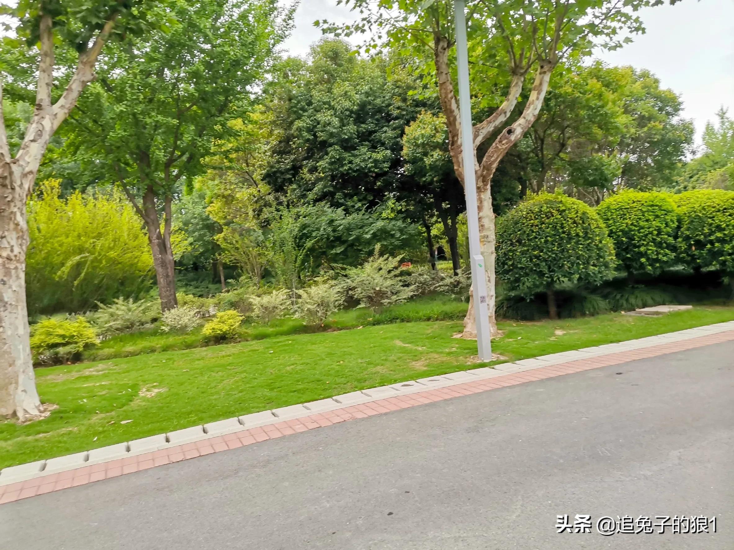 孔子曰己所不欲勿施于人什么意思,正如孔子说己所不欲勿施于人