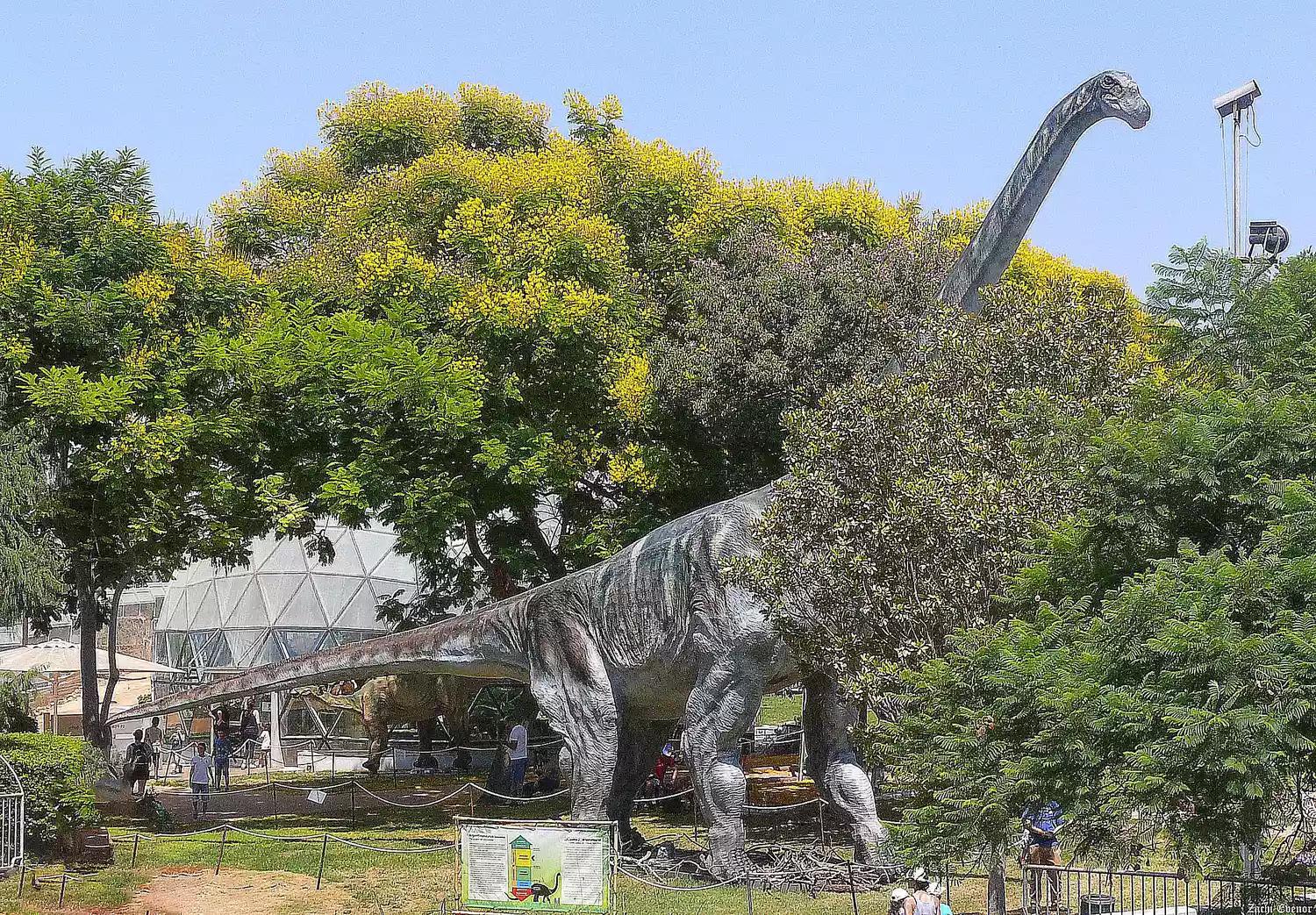 泰坦巨龙图片从哪来的,泰坦巨龙恐龙图片和简介