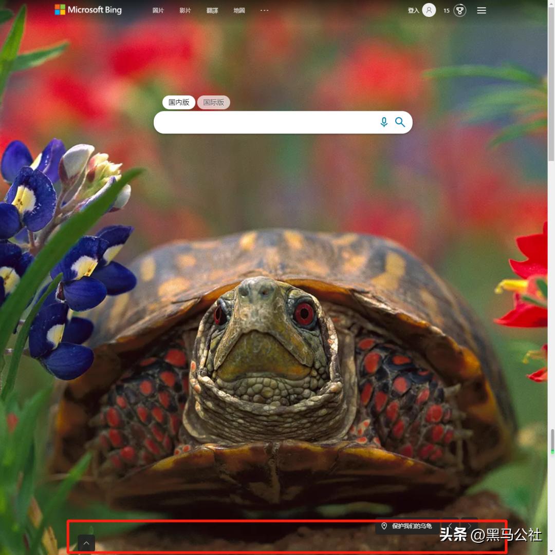 超过百度，必应成为中国第一搜索引擎？！