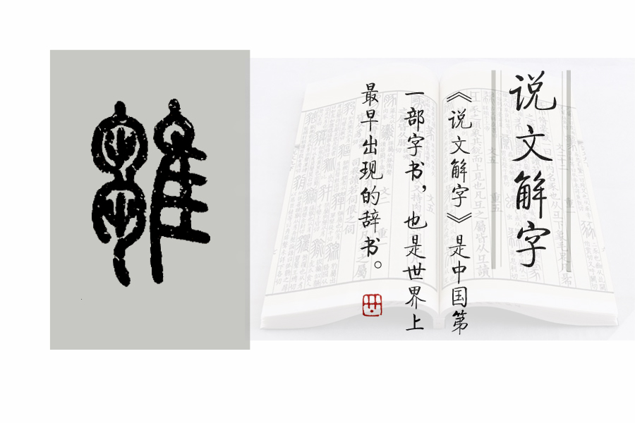 说文解字第61课,说文解字第699课