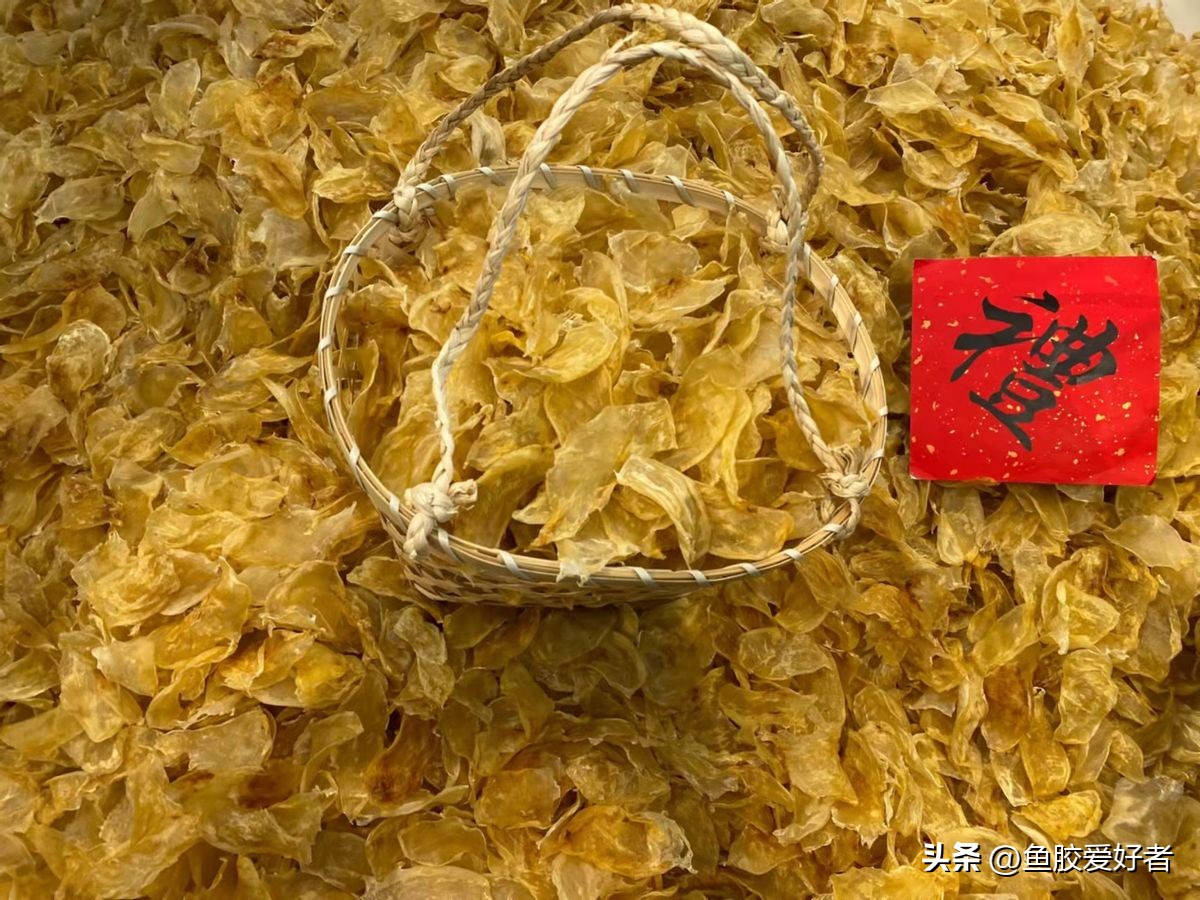 厚鱼胶是什么档次的鱼胶,初级鱼胶怎么处理