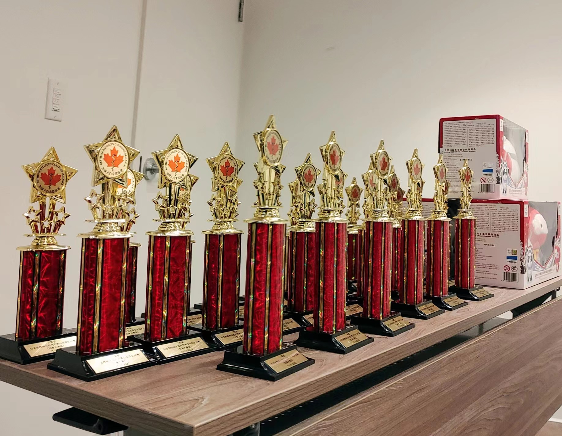 白求恩精神作文,白求恩征文