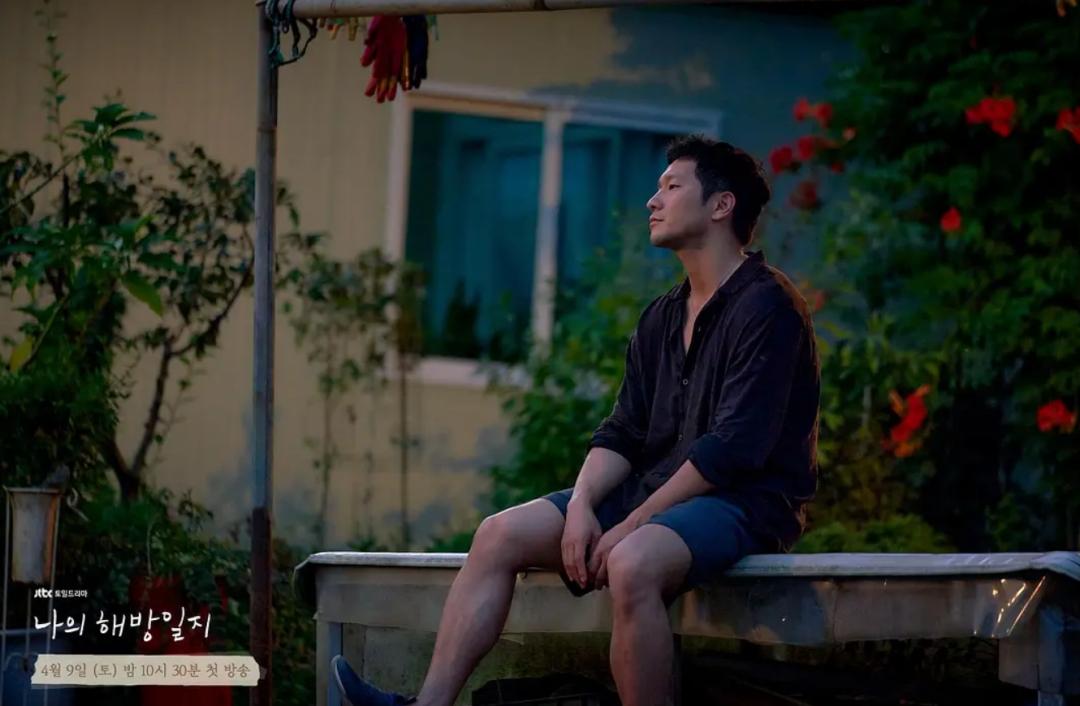 我的解放日志讲述的是什么,我的解放日志讲了什么故事