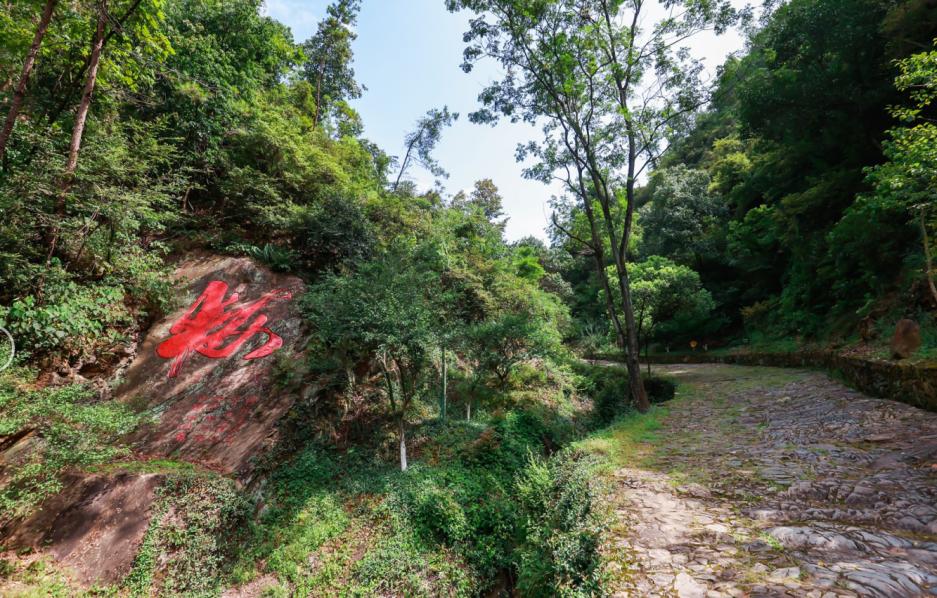 暑期特辑,长安三万里电影暑期