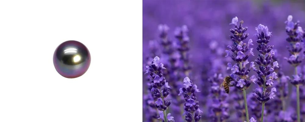 珍珠guild证书怎么看,大溪地黑珍珠鉴定证书