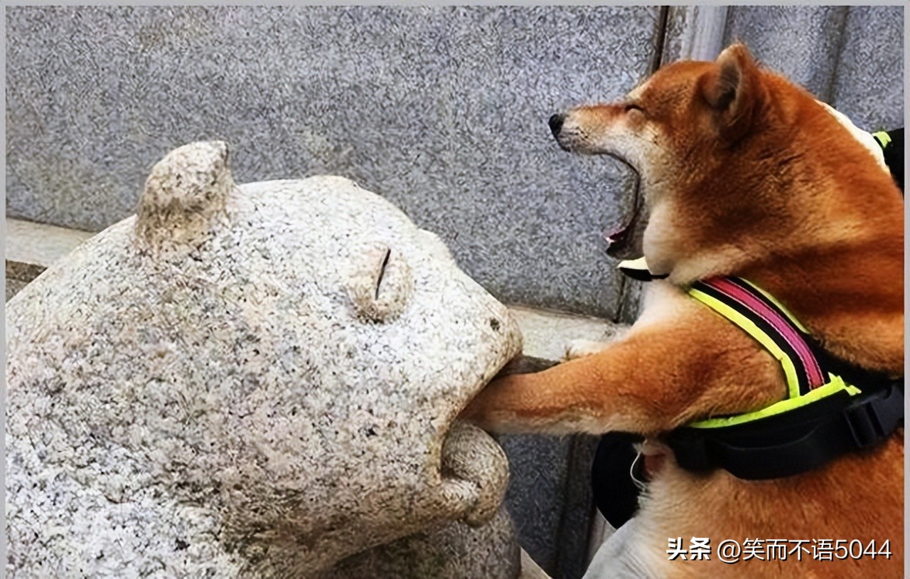 亲爱的经典段子搞笑,连续剧搞笑段子亲爱的