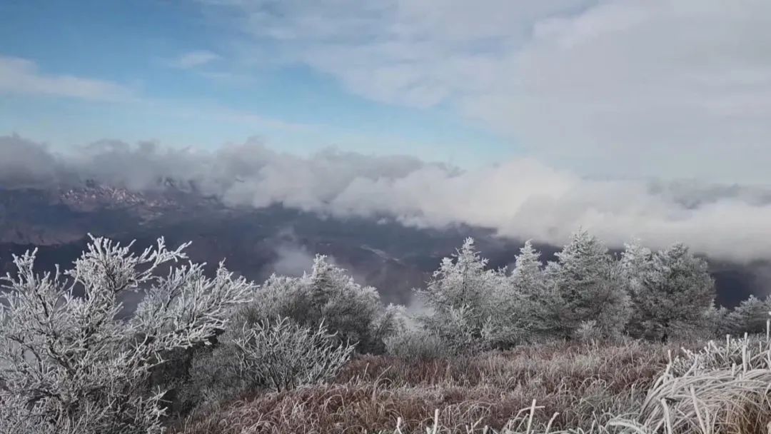 承德雾灵山一日游,河北兴隆雾灵山一日游