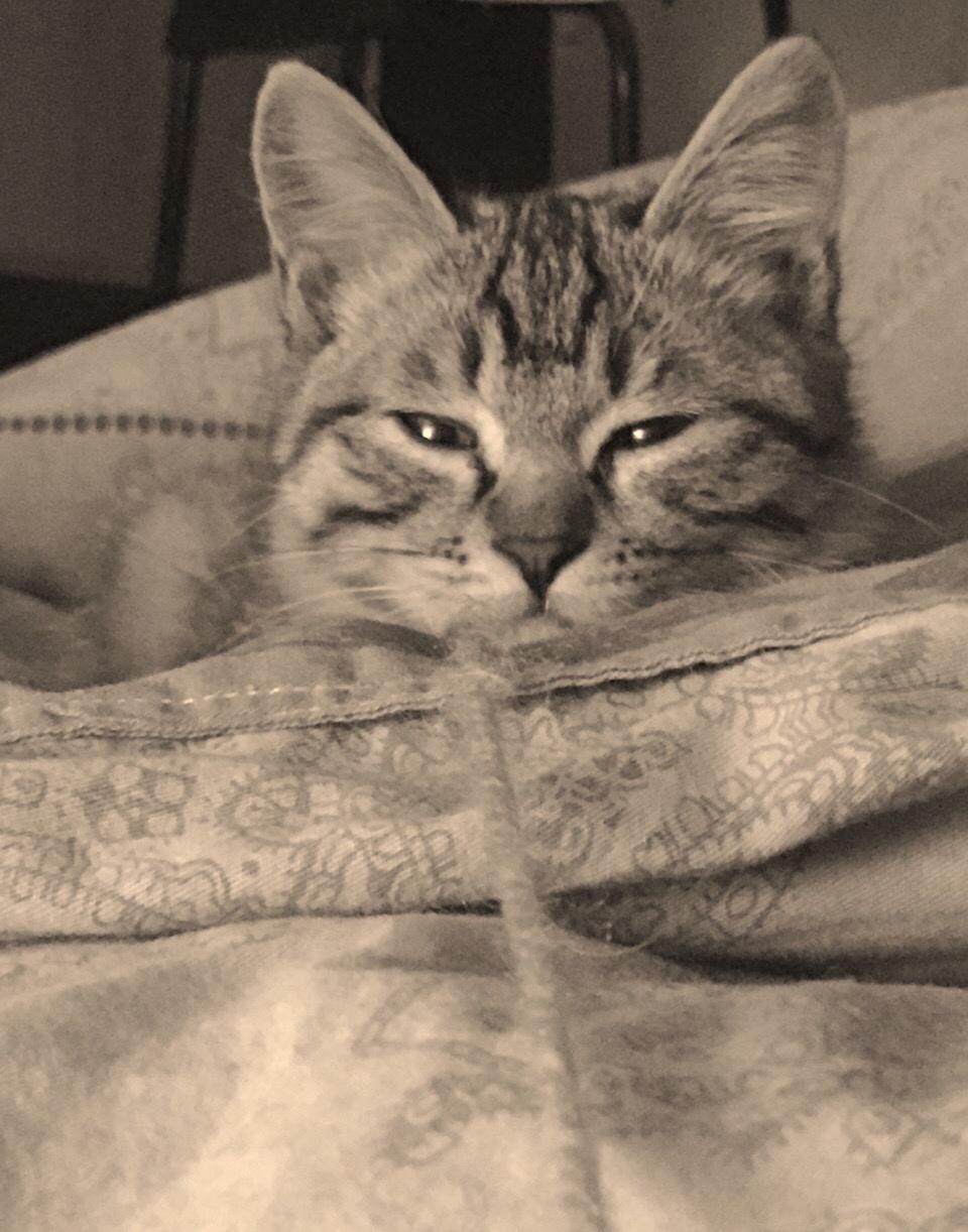 老照片清朝社会,清代市井照片