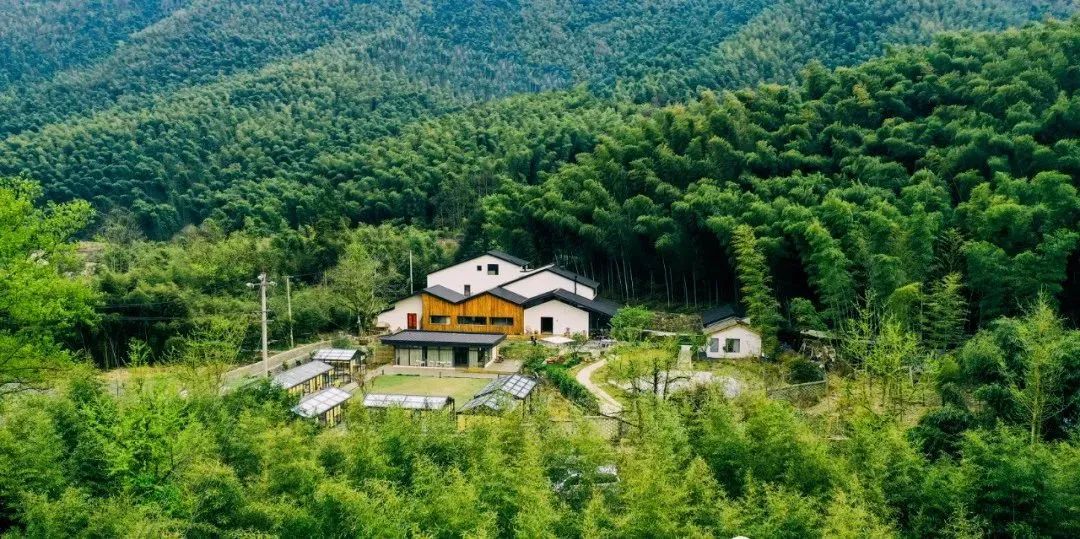 宁国西津野渡竹筏漂流住宿,宁国市西津渡竹筏漂流