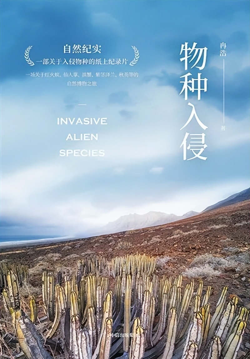 推荐一本书夏至未至,夏至未至阅读推荐