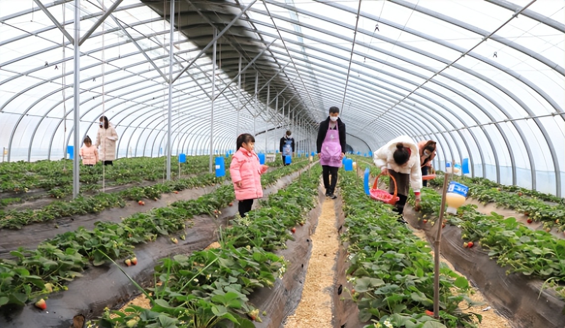 农村没学历青年的出路在哪里,现在的农村人除了打工有什么出路