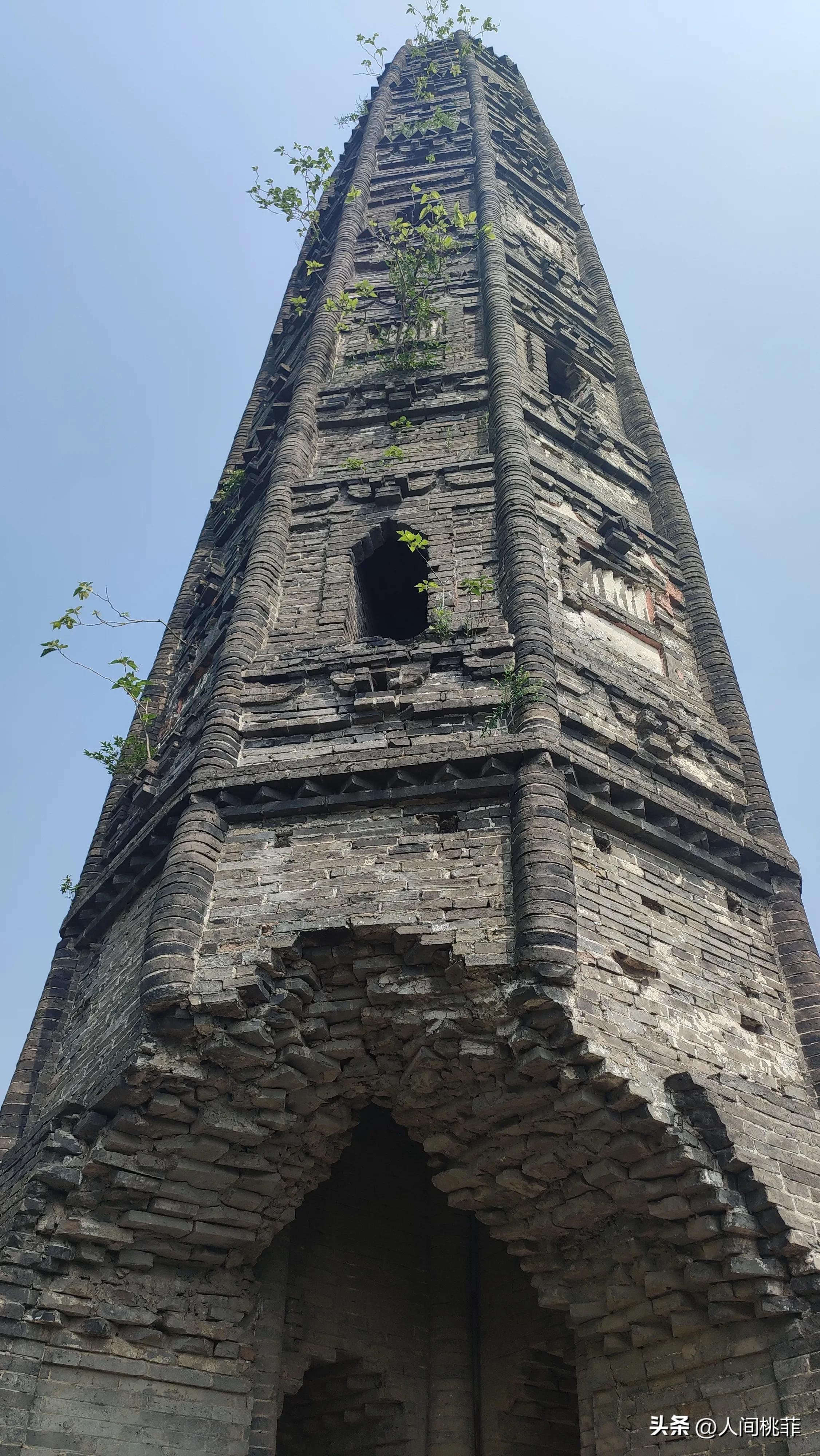 没有感同身受只有独自承受的意思,没有什么感同身受只能独自承受