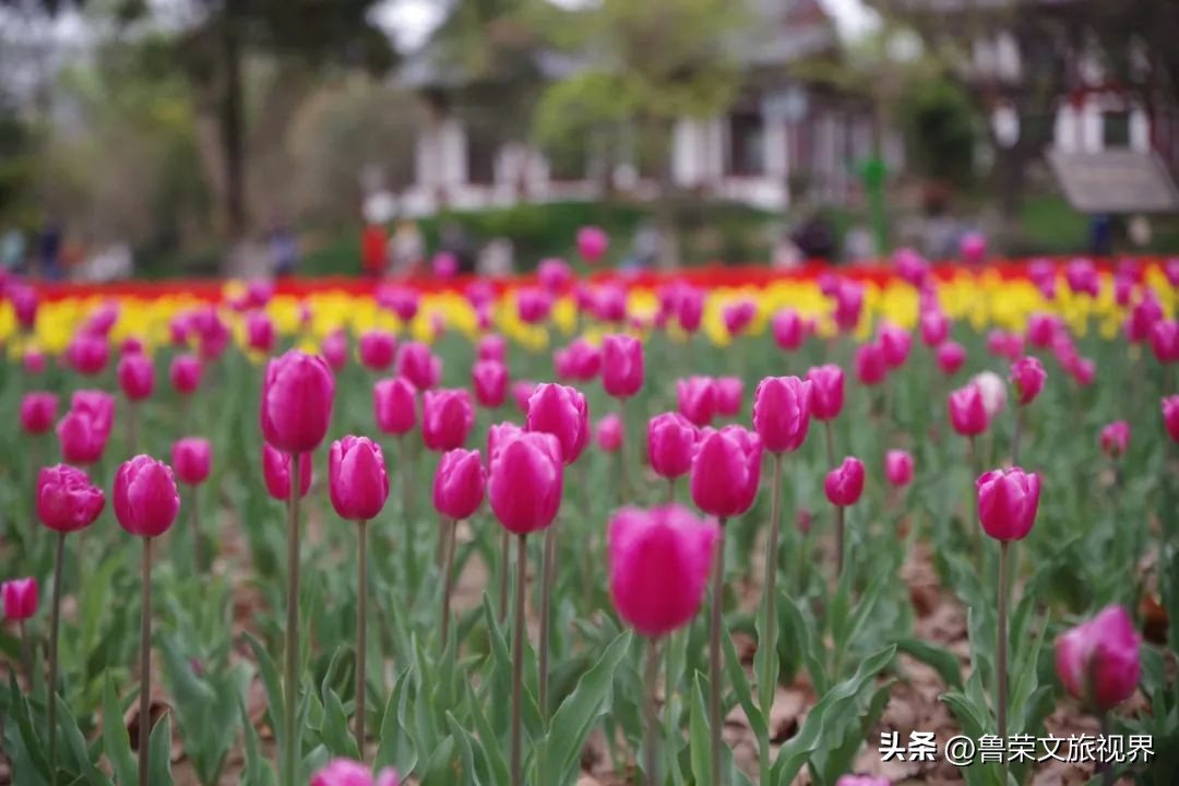 西安旅游攻略大全坐地铁,西安地铁旅游攻略三日游