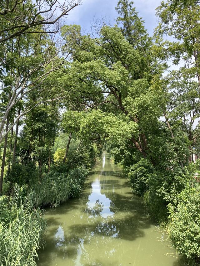 上海十一好玩的地方推荐,上海周末好玩的地方推荐免费