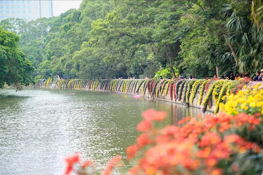 十大风景最美的湖泊排行榜,深圳风景美丽的湖泊