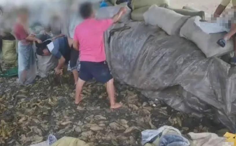 一夜蒸发数亿人民币，康师傅变成“糠师傅”，严钦武后悔已晚