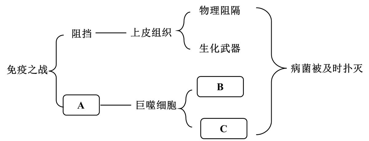 荆州中考语文试卷及答案,荆州2023中考语文试卷及答案