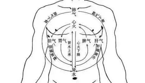 春分主要阳气少阴气多,春分以后阳气上升是养阳还是增阴