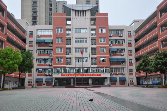 合肥小升初有哪些学校全省招生,合肥小升初所有学校排名一览表