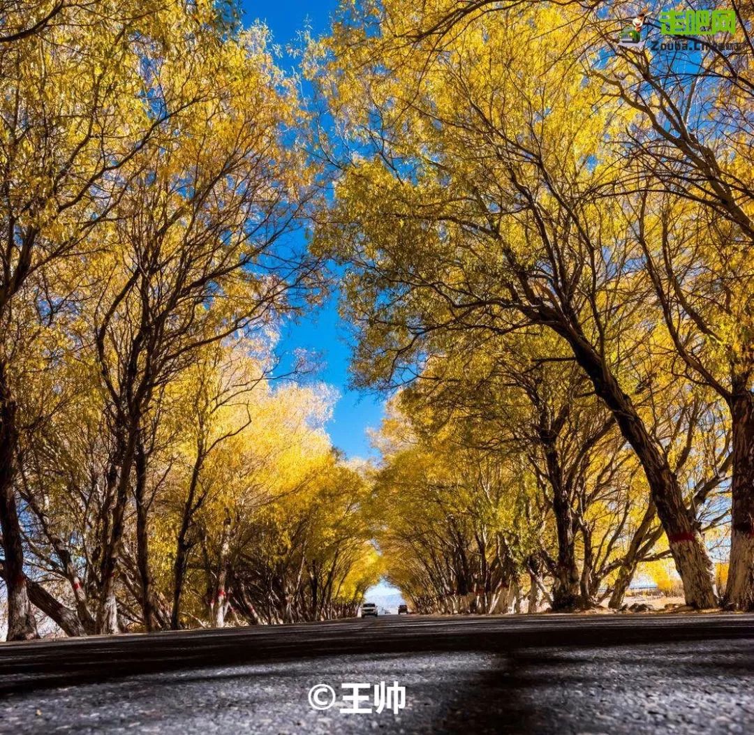 四明山赏秋最佳自驾路线,10条最美旅游线路