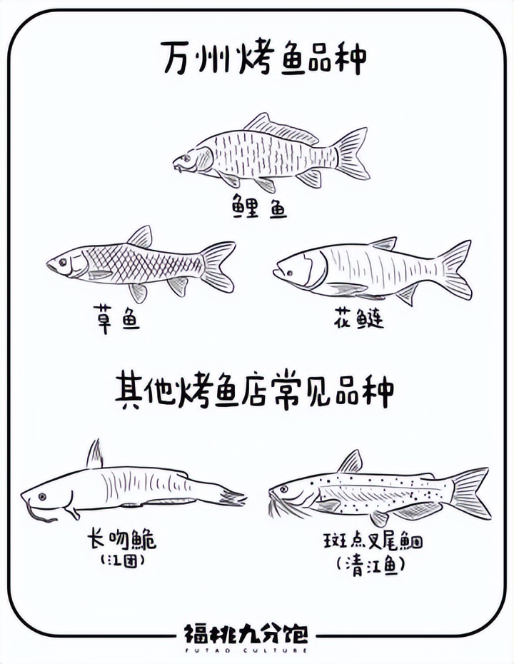 万州烤鱼的由来与特点,万州烤鱼万州在哪