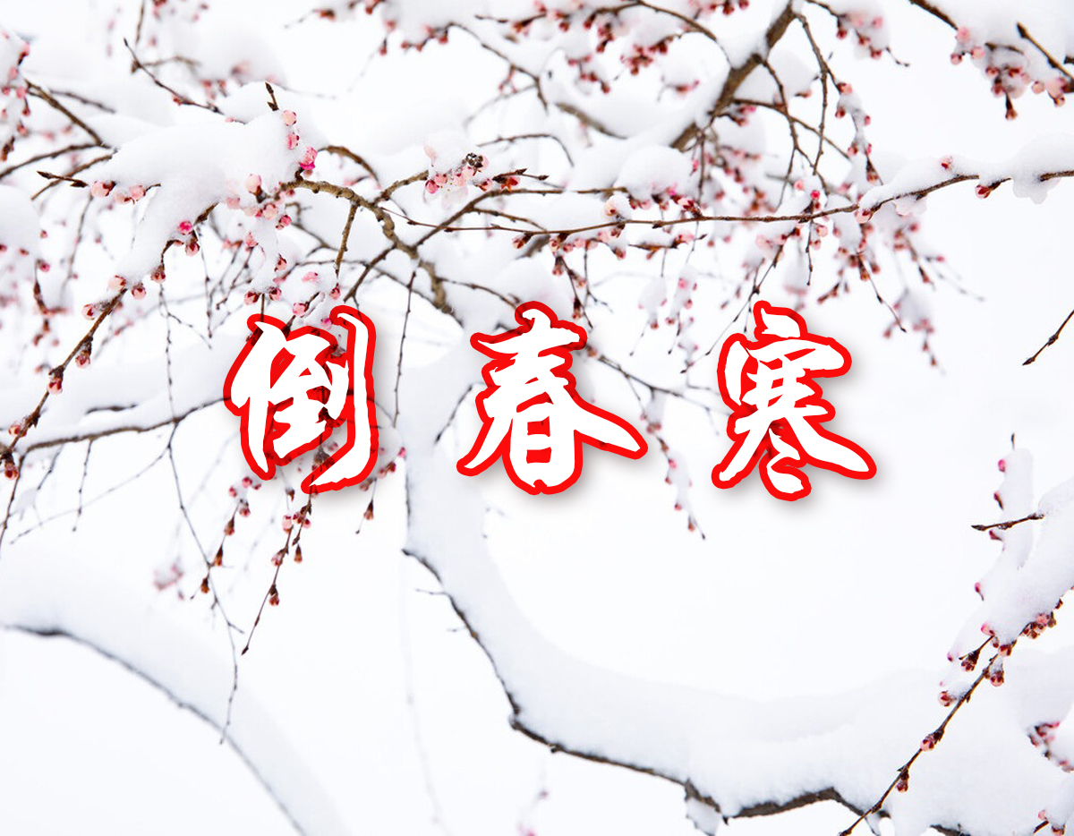 河南倒春寒吃什么好,抵御春寒吃什么