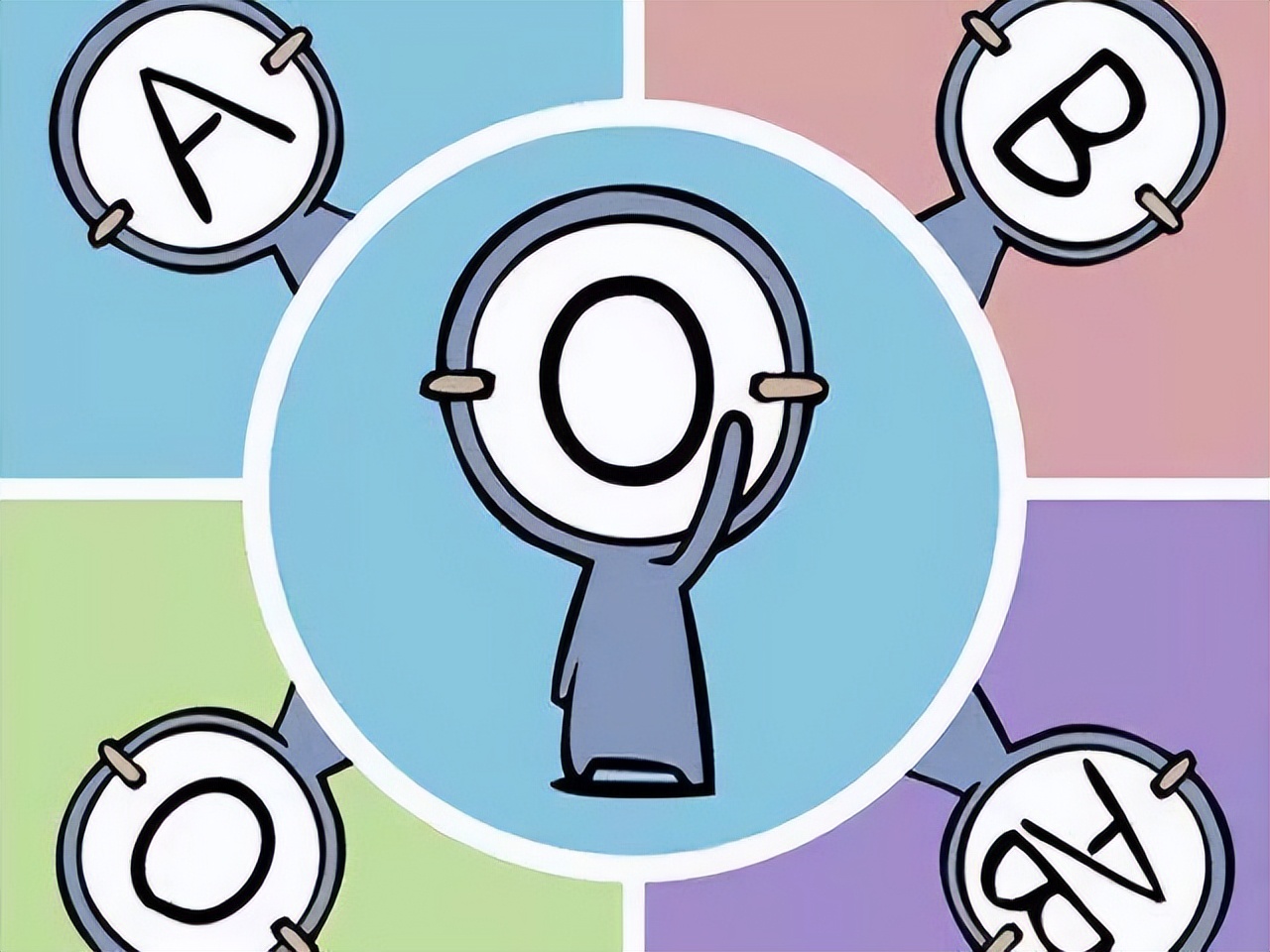 a型b型o型ab型哪种血型的人更长寿,血型a型b型o型ab型的依据是什么