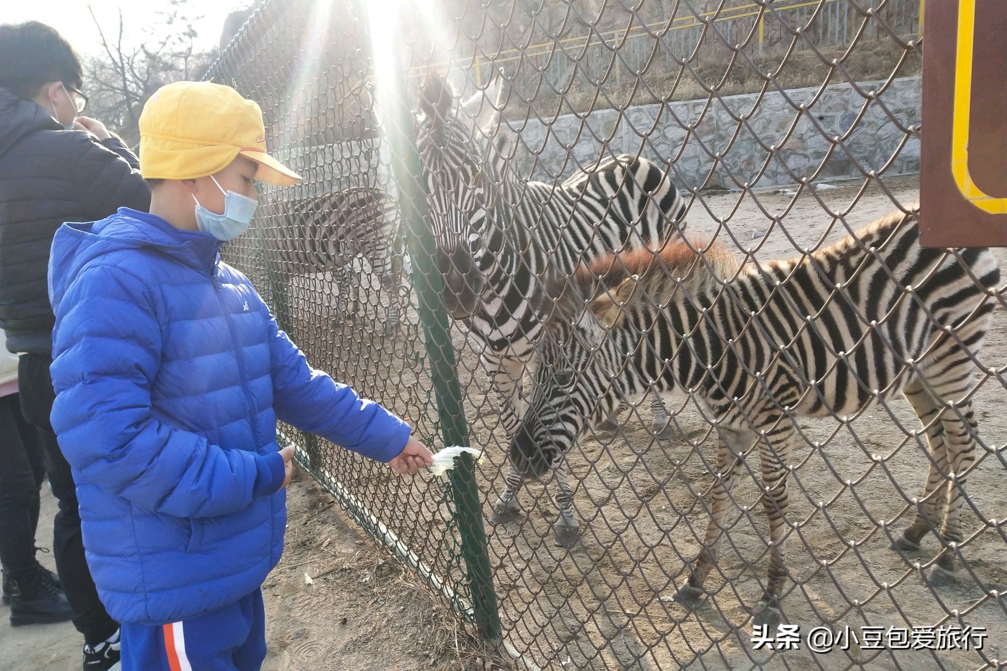 八达岭北京野生动物园推荐,两个人花100块钱能在北京玩多少