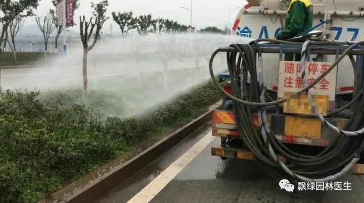 草坪苗木生长抑制最好方法,草坪灌木苗的养殖方法