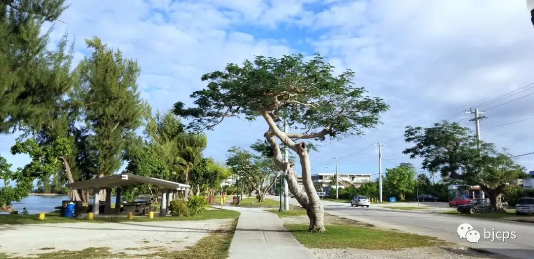 塞班岛为什么免签,塞班岛免签政策45天还是14天