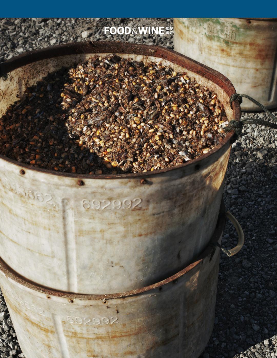 固城湖还是高邮湖螃蟹好,高邮湖螃蟹几月份有