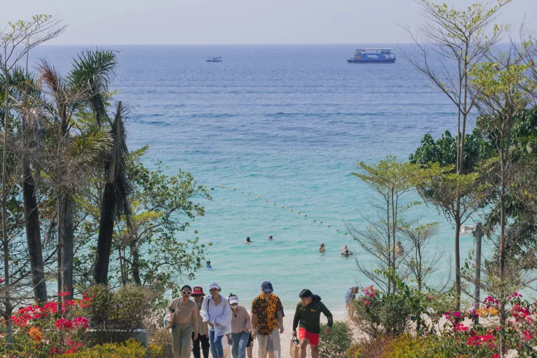鍘绘嘲鍥芥浖璋峰拰鑺彁闆呯殑鏀荤暐,鍘绘嘲鍥界帺杞浖璋疯姯鎻愰泤