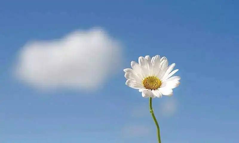 大专学历真的被歧视吗,学历就业歧视算犯法吗