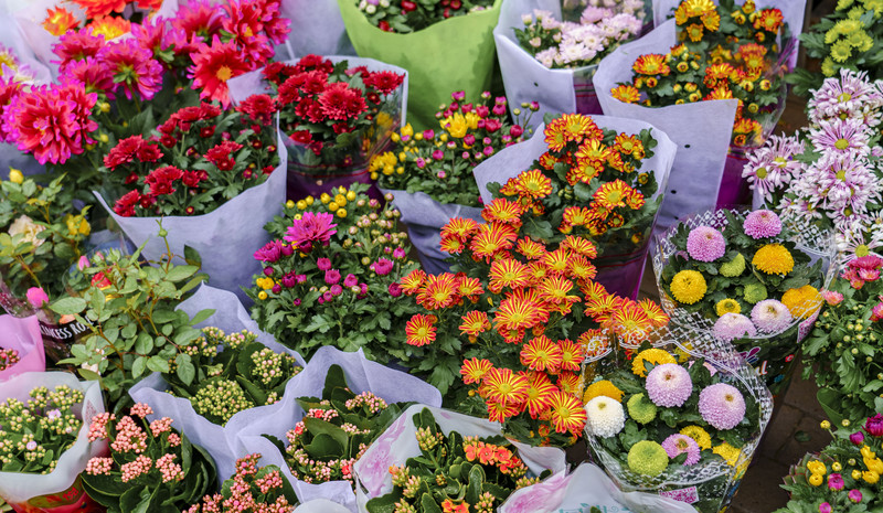 打卡安庆古城,安庆旅游和美食