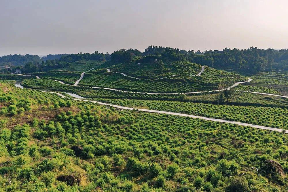 （杂谈02期）「地方志系列」垫江：论“千年古县”的自我修养