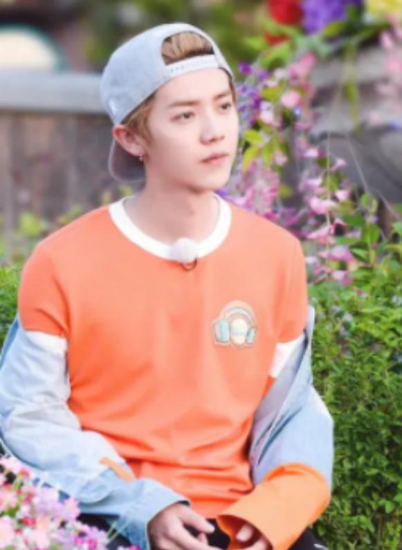 真男人就是敢作敢当,鹿晗发文霸气护女友