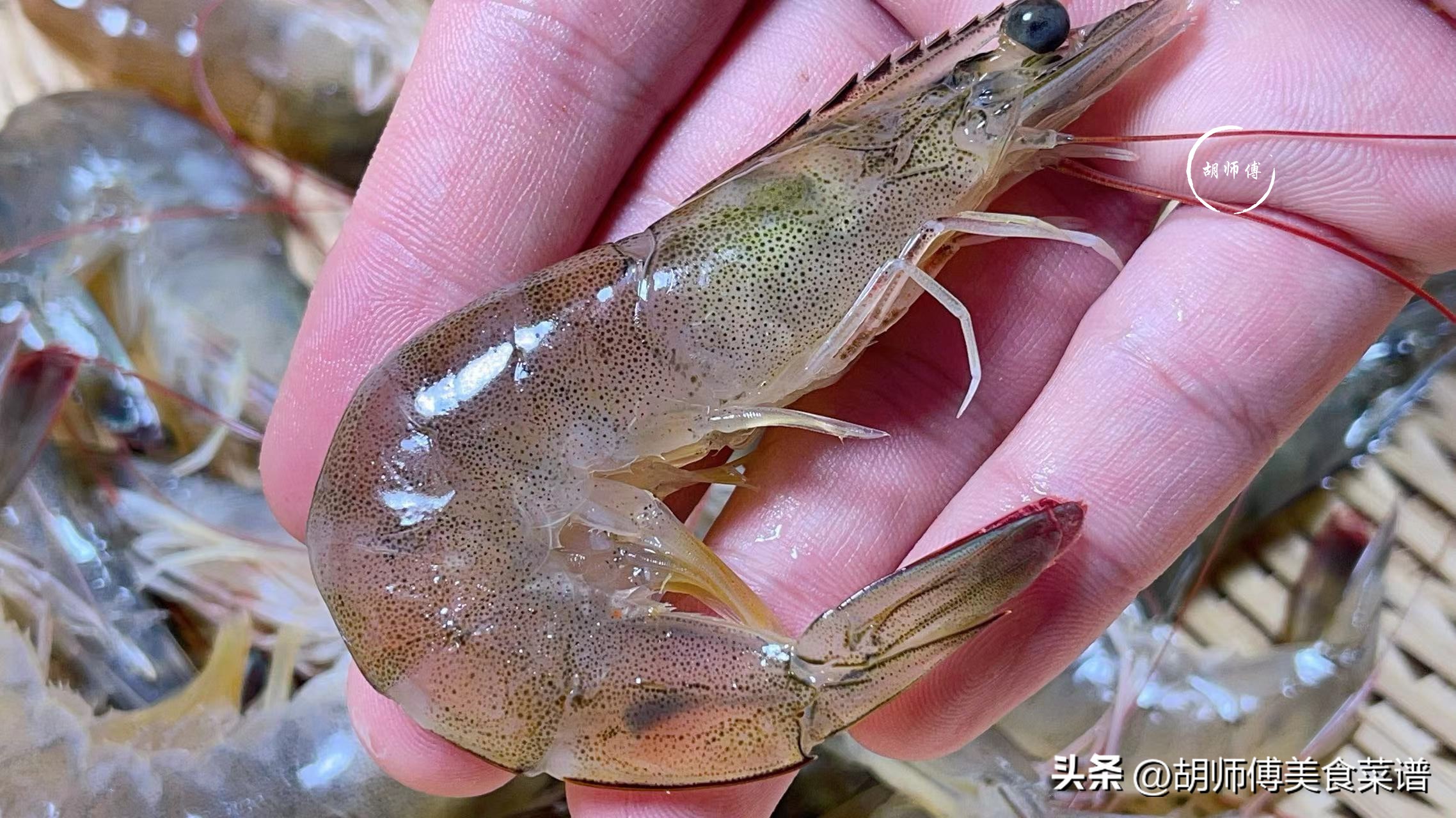 本地大虾和海虾的区别,冻虾直虾和弯虾有什么区别