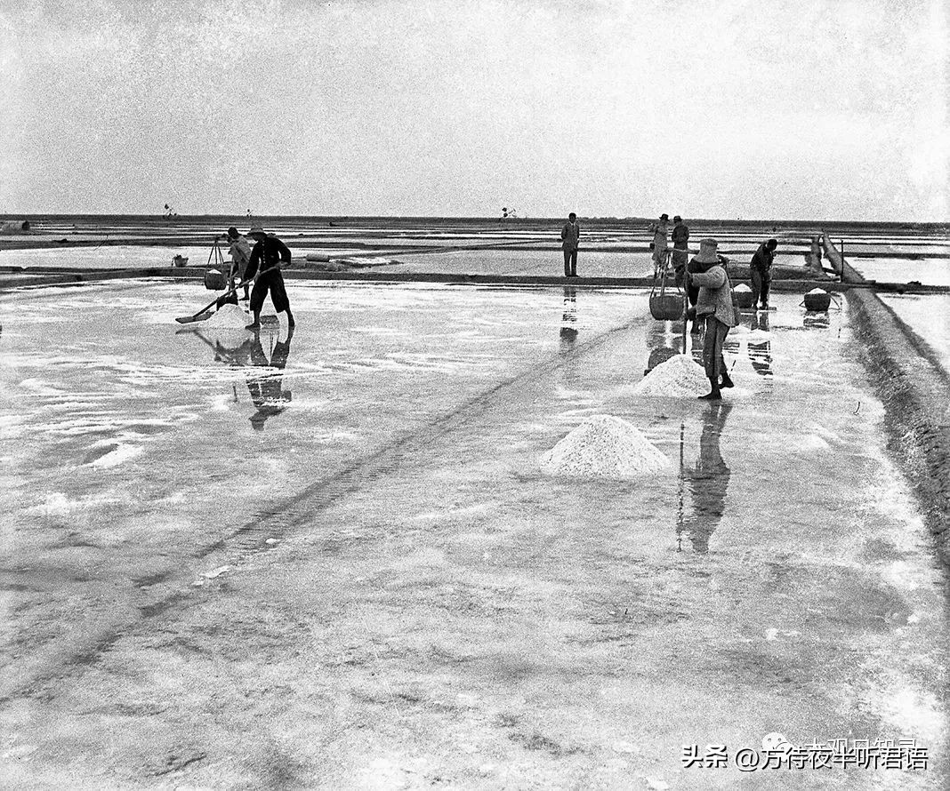 万里追踪纪录片完整版,1937年万里猎影记