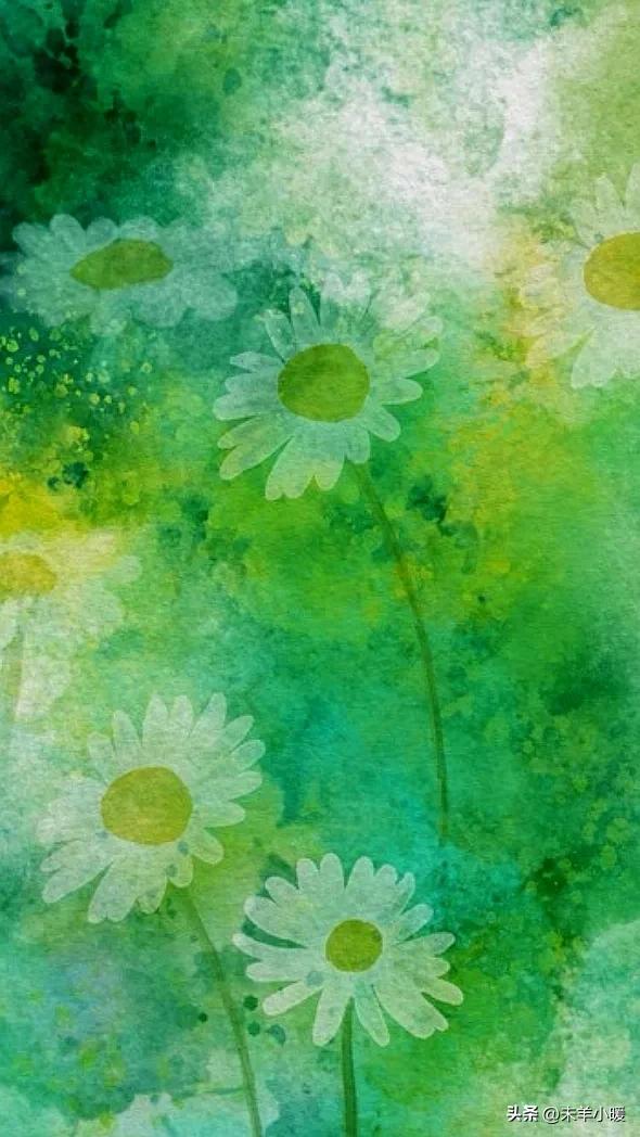 最美的手机壁纸大全,养眼养心的壁纸