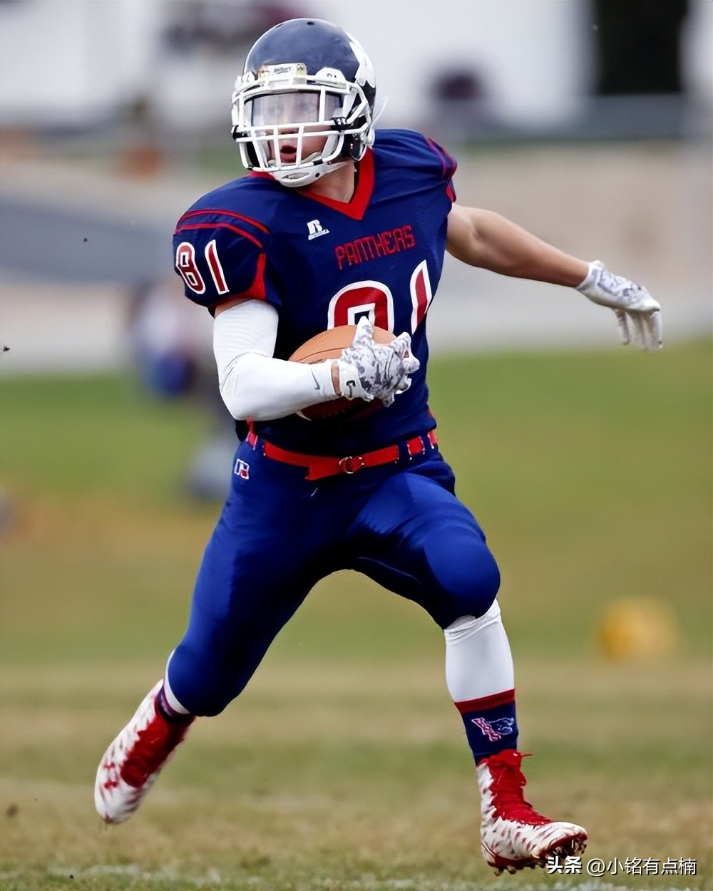 泰勒的传奇一生,泰勒的历程