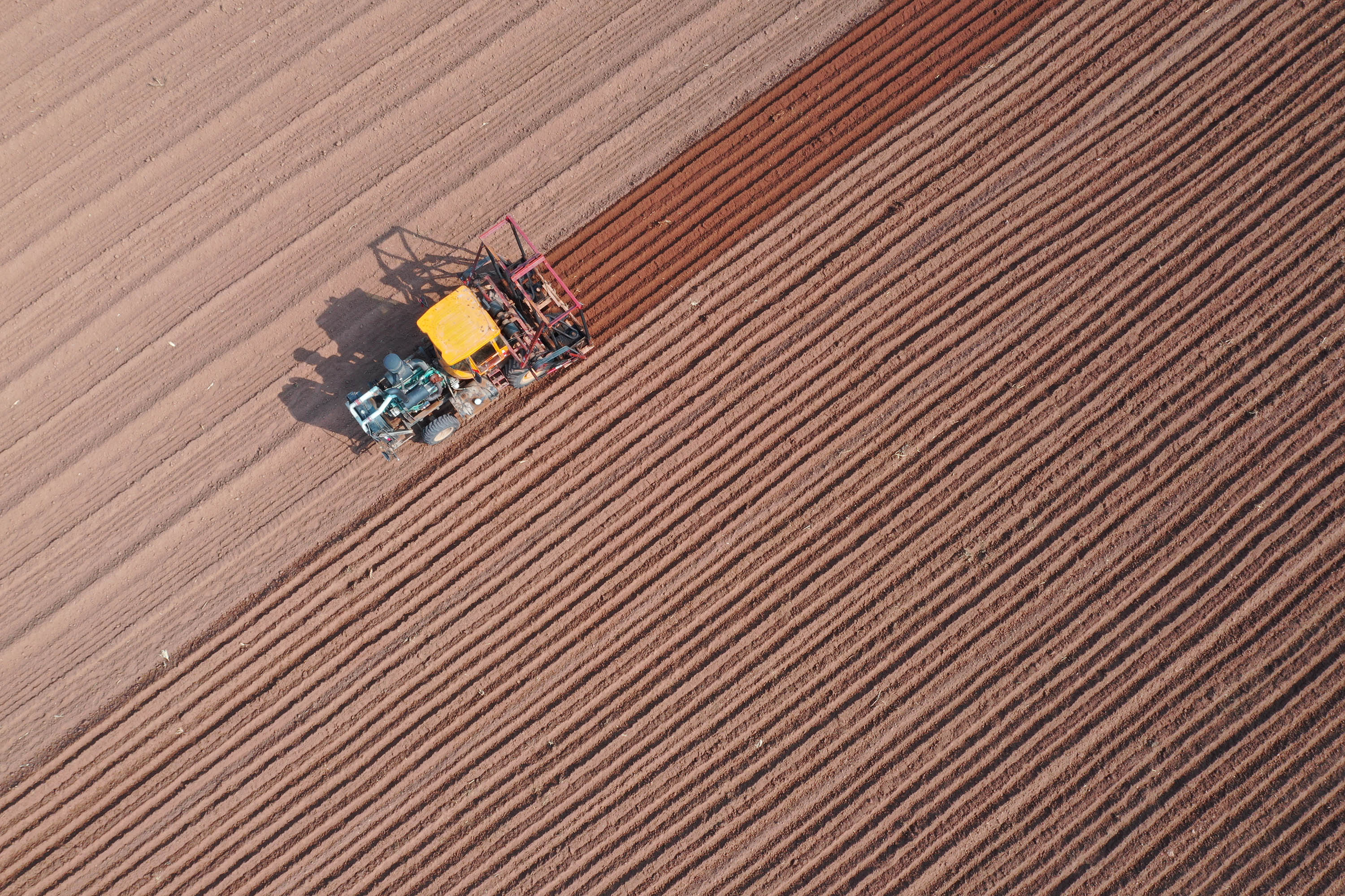 2021一号文件耕地政策,2023年新土地统一耕种是真的吗